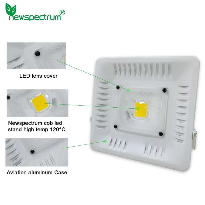 50W LED Floodlight AC 110V 120V 220V High Brightness IP65 Whit Lens COB LED Light for Outdoor Wall Garden Landscape Lighting