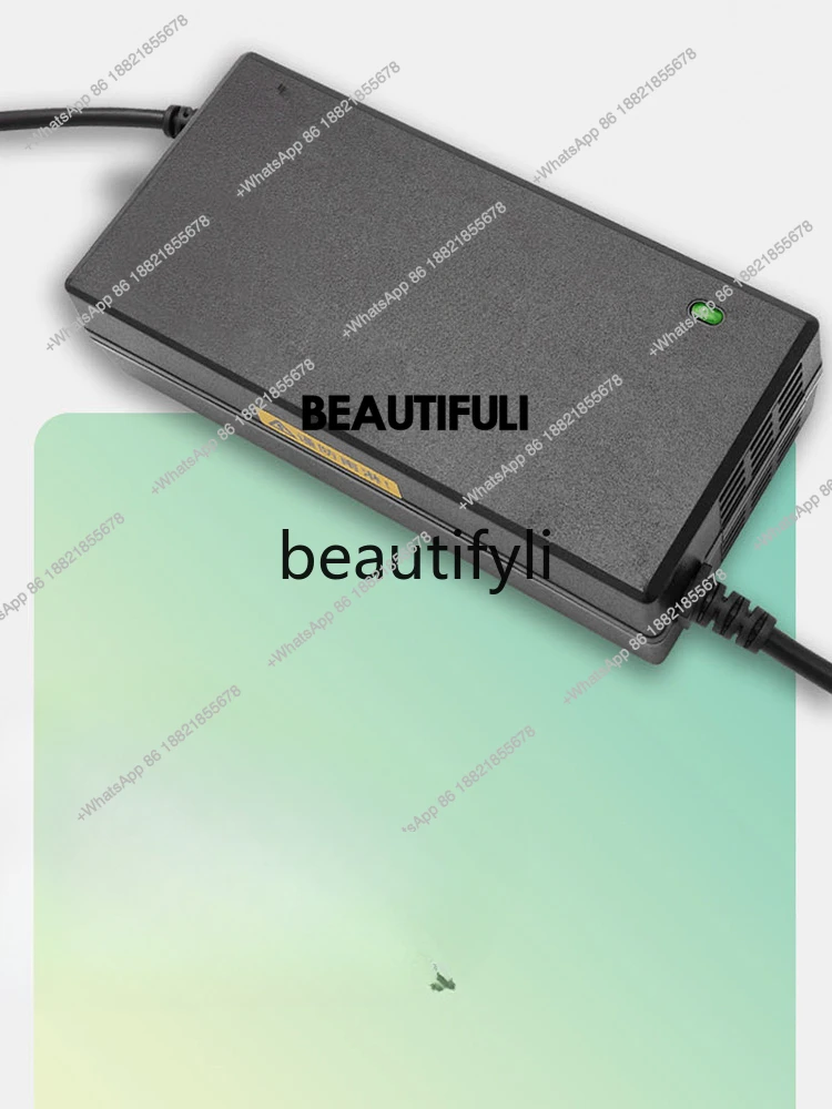 Special electric vehicle new national standard high-power lithium lead oxide battery three vertical head battery car charger