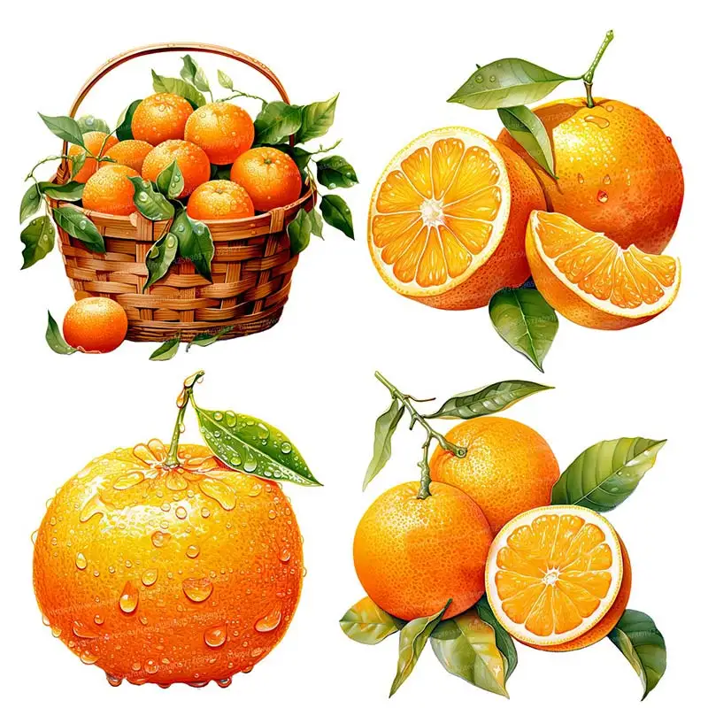 Wall Sticker Hand-Painted Beautiful Oranges Fruit Sticker Kitchen Dining Room Decoration Refrigerator Waterproof  Decal M1060