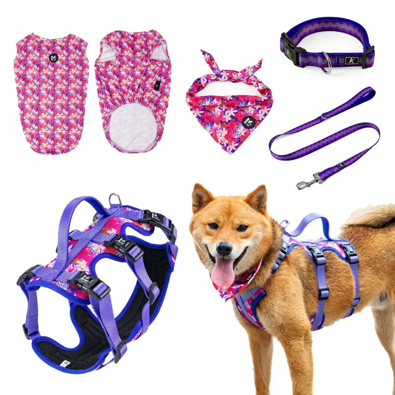 

KopaiKSeries Supplies Suit Pet Harness Hand holding rope Collar Saliva Towel Dog Clothes