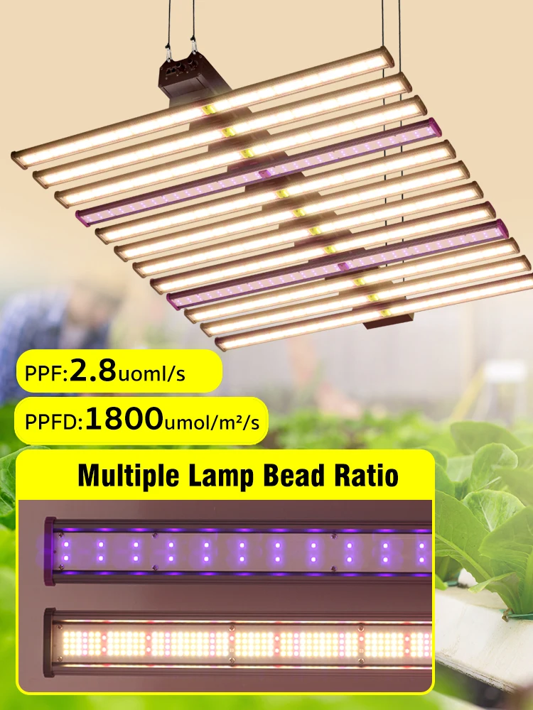 720/1000/1200/1100/1300/1030/1260W LED Grow Light Volledige Spectrum Hoge PPFD Grow Lamp voor Hydrocultuur Kasplanten Veg Bloemen - afbeelding 2