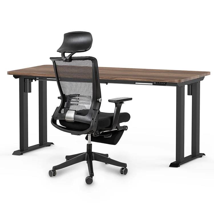 Smart 4 Legs Standing Desk Ergonomic Electric Desk Lift Height Adjustable Sit and Stand Table Frame Gaming Desk Dual Motor