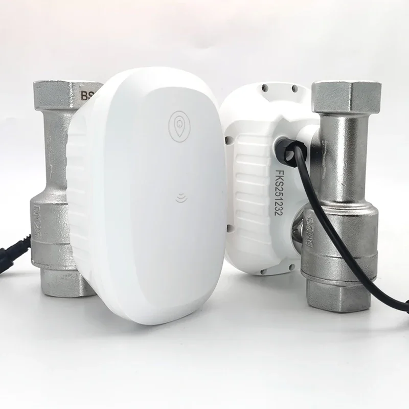 Water Valve WiFi Smart Control Water Flow Consumption Meter Automatic Irrigation Support Hot Water Alexa Home Assistant