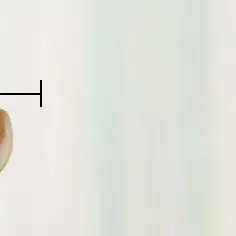 

Massage Tool Sandalwood Massager Body Sculpting Tools Used To Relieve Muscle Relaxation Facial Gua Sha Muscle Release Tool