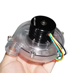 Mini 39mm Inner Rotor Brushless Motor DC 12V-24V Silent High Speed Turbine Fan Motor Strong Magnetic Double Ball Bearing