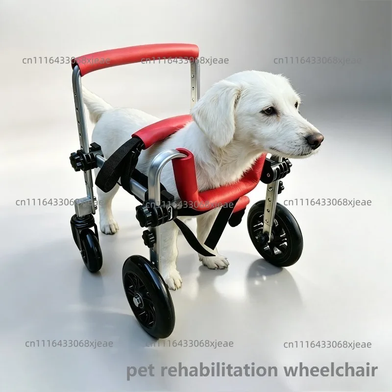 Pet Forelimb Wheelchair Cat Dog Forelimb Training Vehicle Front Leg Standing Bracket