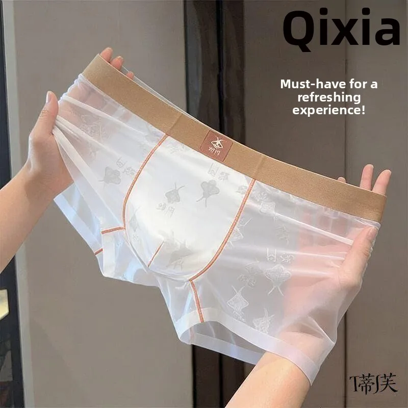 Sexy Transparent Thin Nylon Mesh Embroidered Men's Boxer Shorts Breathable Comfortable mid Waist Design Four Corner Underwear