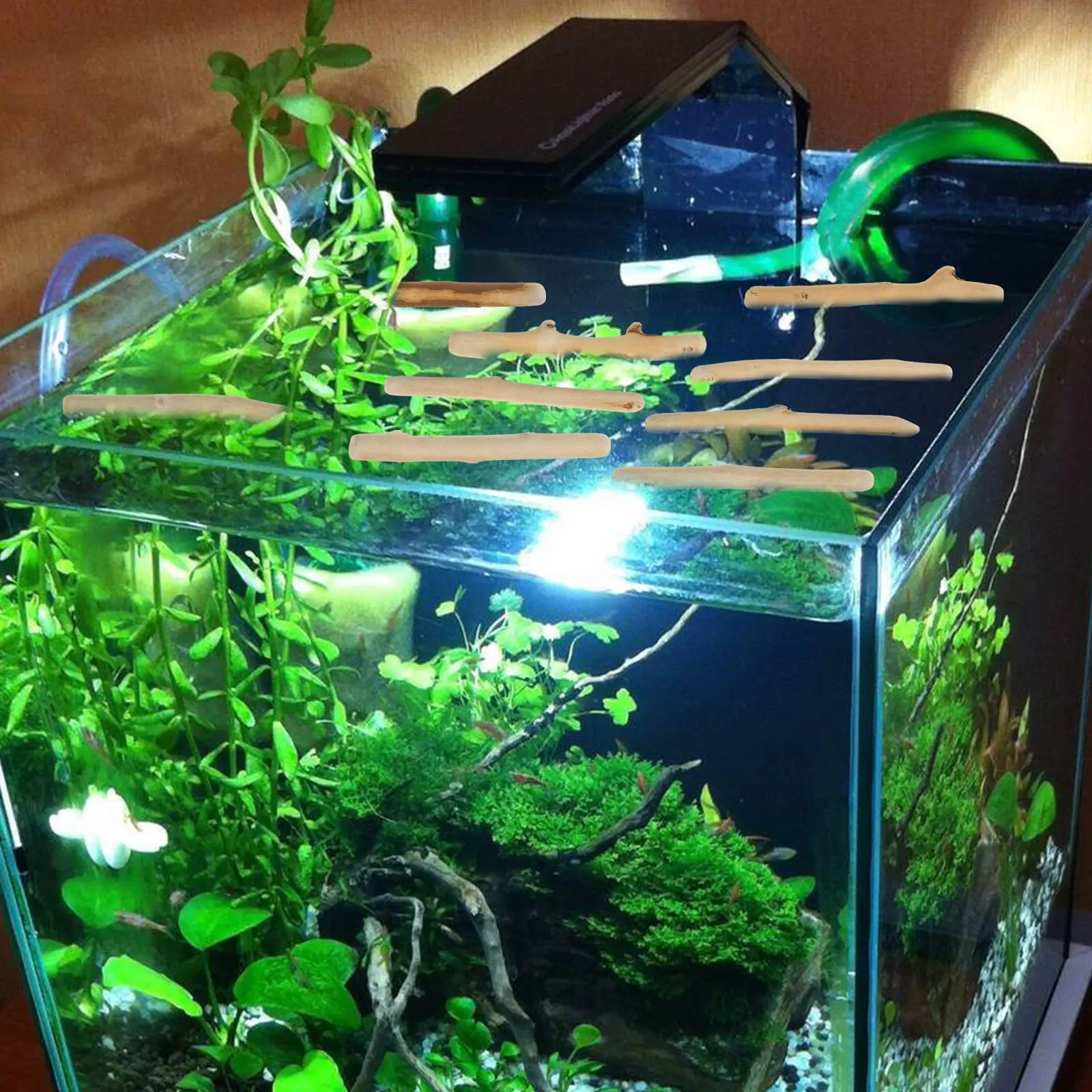 1 ensemble de décoration en bo - Planted Aquarium Ph avis et prix