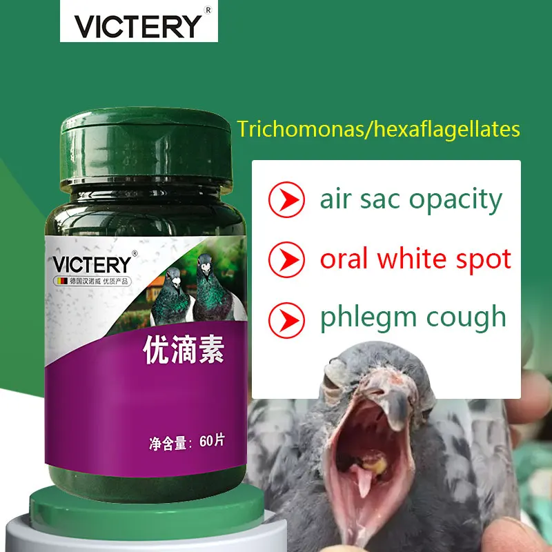 

Pigeon homing pigeon Trichomonas White spots in the mouth mouth yellow bursitis Pigeon Probiotics 60 Tablets