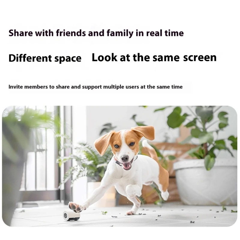 W89C WIFI تمكين Camera Pet Camera 2MP 2MP التحكم عن بُعد عبر مراقبة المنزل