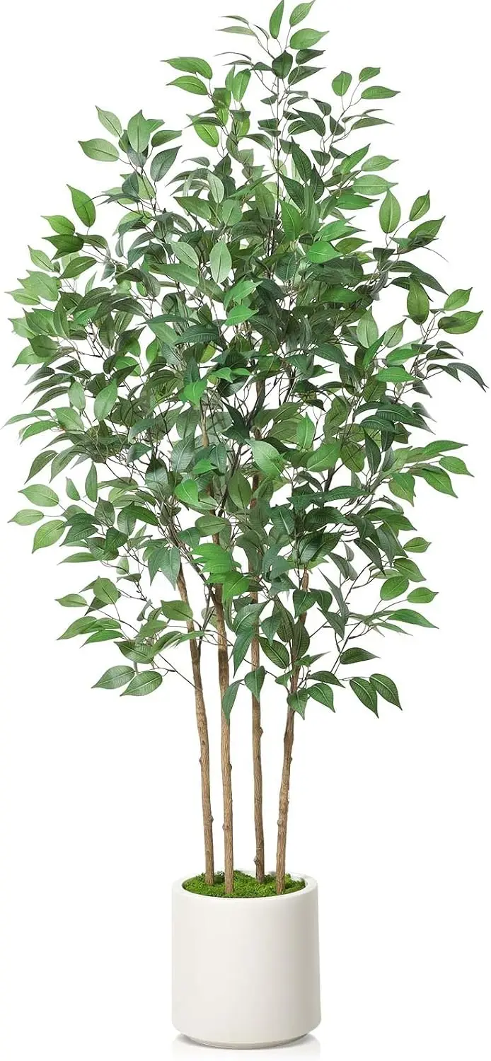 

Ficus Artificial Tree 6ft Fake Silk Plant , Faux Floor Tree in White Imitation Ceramic Planter with Green Fake Moss