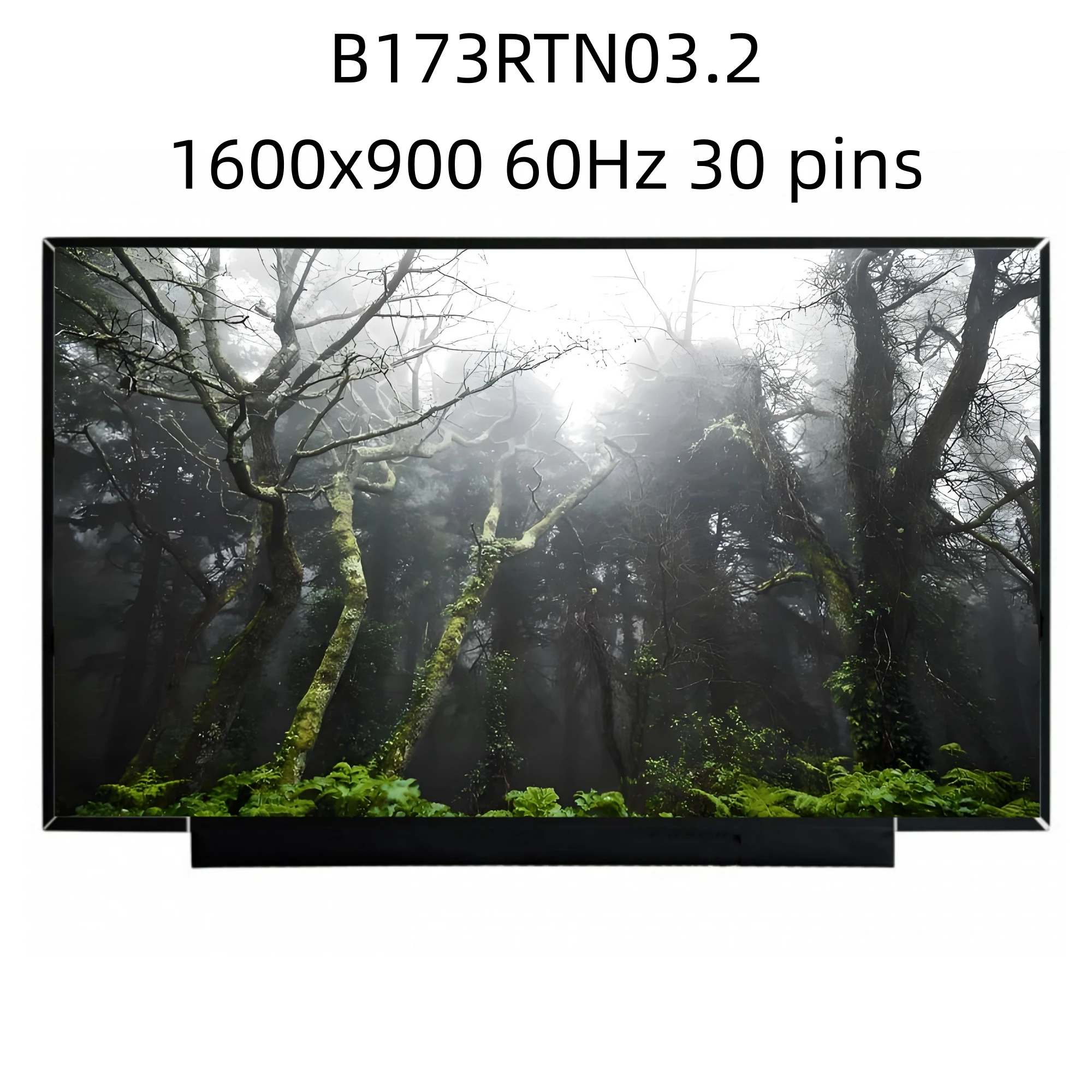 

B173RTN03.2 IPS 17.3 inch Laptop Screen 30 Pins Matrix Display Panel 1600x900