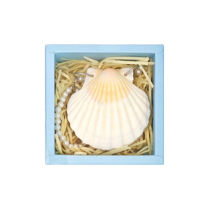 Miniature Natural Shell Cover Notebook Pocket Diary with 2 Rings Binder Cover 