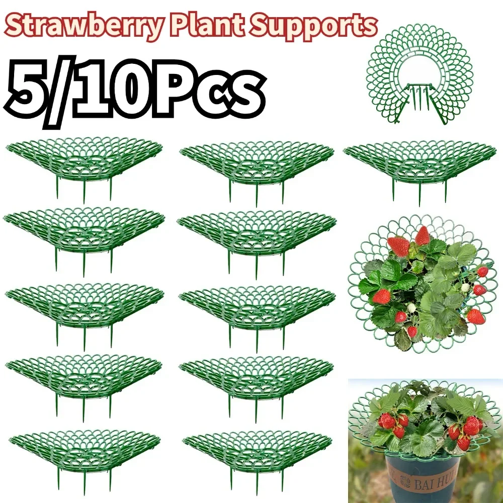 

5/10Pcs Strawberry Plant Supports With 3 Sturdy Legs Strawberry Growing Racks Protector Frame Holder Cage From Mold Rot Dirt