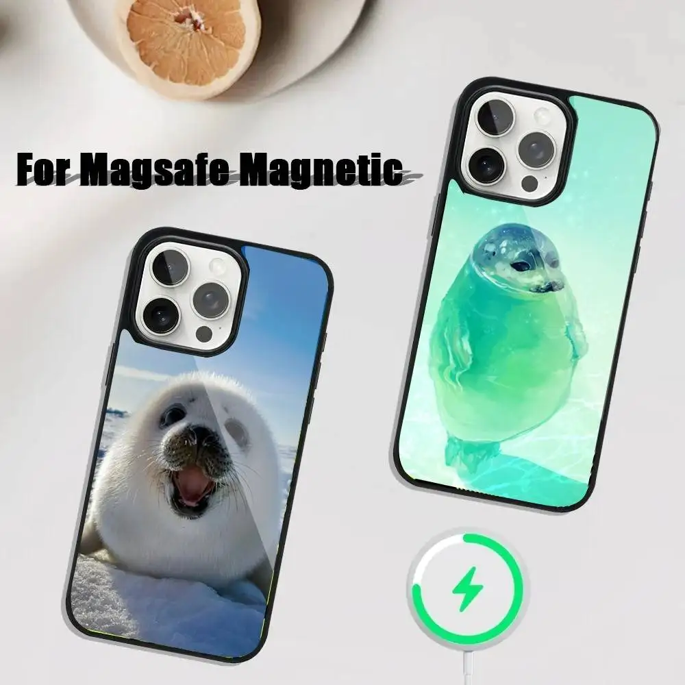 

Seal Animal Cute Phone Case For iPhone 17,16,15,14,13,12,11,Pro,Max,Plus,Mini,SE4,E Magnetic Magsafe Wireless Charging