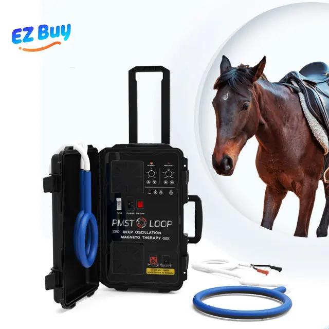 Устройство для магнитотерапии для лошадей: медицинское оборудование для облегчения боли и релаксации гоночных лошадей