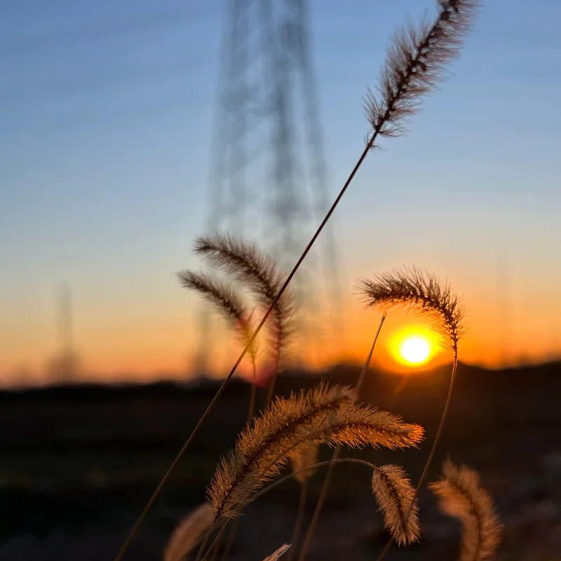 

IFlight BLITZ Whoop VTX 5.8G 40CH 2.5W 2-8S - MMCX Interface IRC Tramp Fit RC Fixed-Wing Models