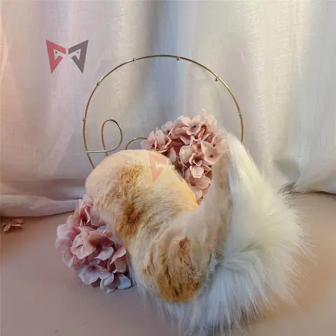 6 best sales पीले कुत्ते के कान - №2