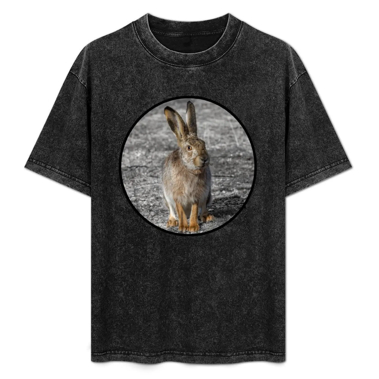 European Hare (Lepus europaeus) T-Shirt blacks anime stuff anime figures mens vintage t shirts