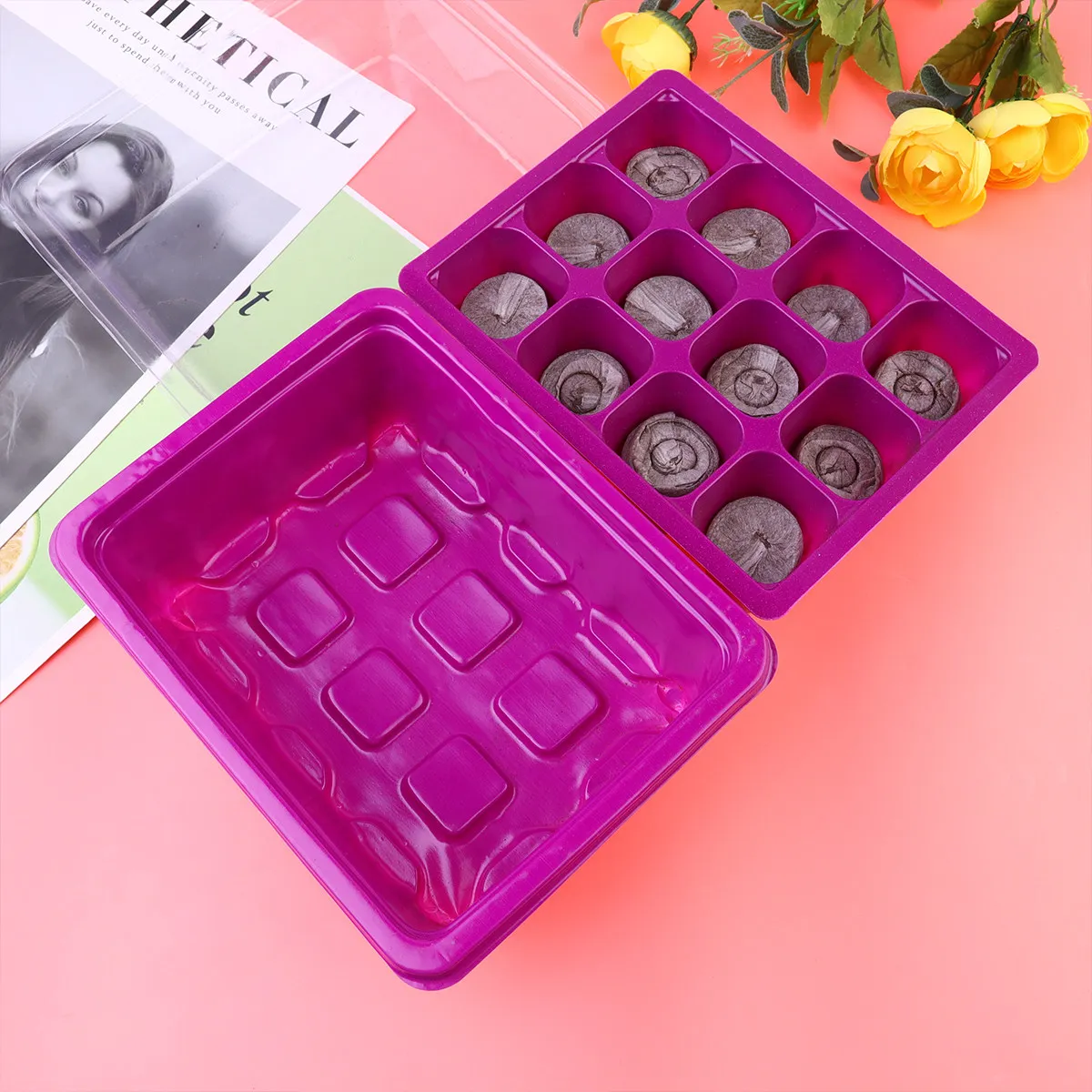 Juego de 12 bandejas germinadoras para frijoles, trigo, soja, cacahuetes, trigo negro y semillas, para germinación sin tierra, saludable, para ensaladas, sándwiches y sopas