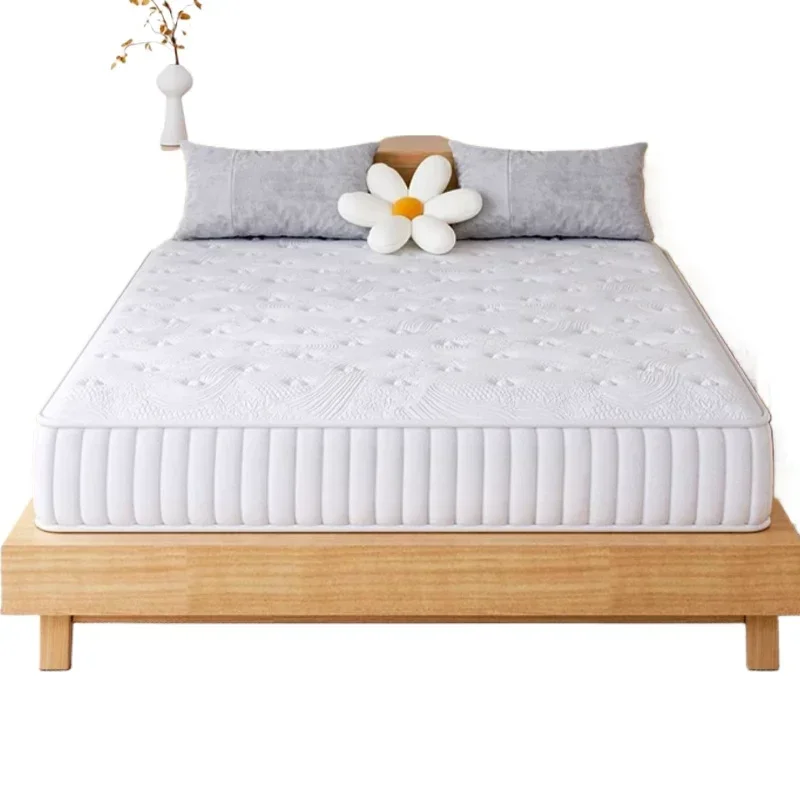 Natural latex Simmons mattress independent spring top ten household upholstered coconut palm hard