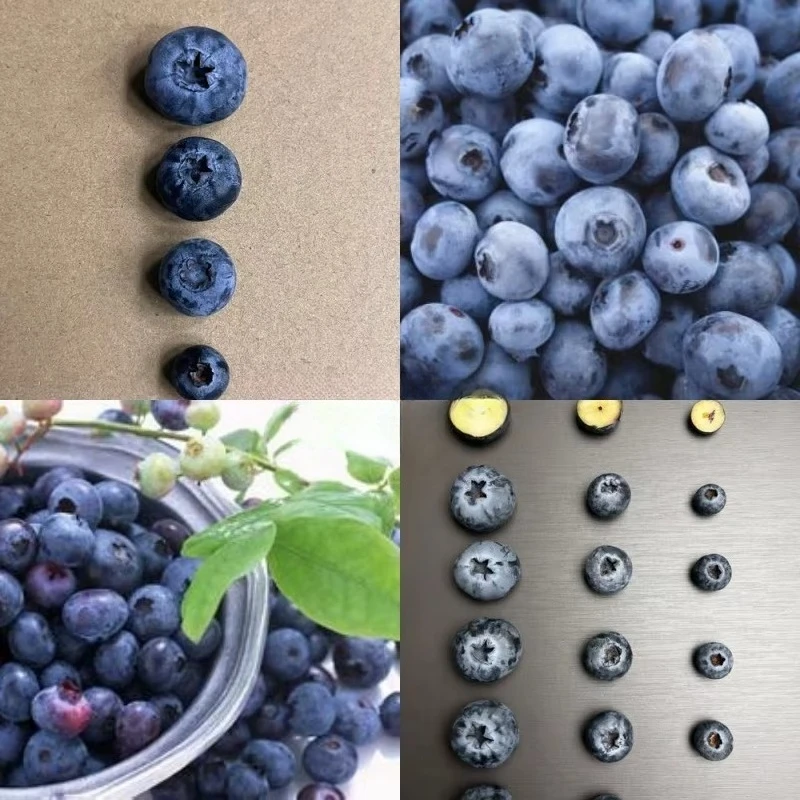 Blueberry Fruit Sorting Machine Weight and Sorting Industrial Blueberry Size Fruit Vegetable Grading Machine