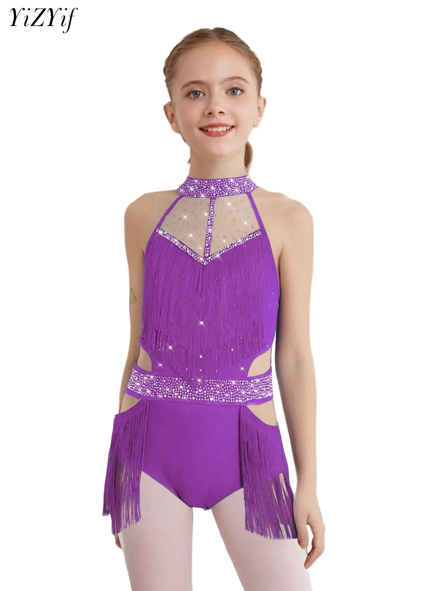 

Girls Ballet Dance Leotard Rhinestone Tassel Bodysuit Dress Gymnastics Figure Skating Latin Tango Performance Costume Dancewear