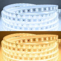 220V Led Strip 1-30m With Eu Plug 2835 Flexible Ribbon Light Waterproof Led Tape for Home Kitchen Outdoor Garden Decor Lighting 2