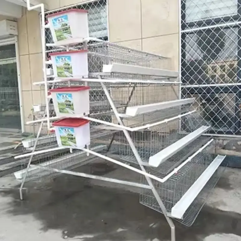 

Factory Supply Poultry Farming A Type 10000 Layer Chickens Farm Bird Layer Cage Chicken Cage for 5000 Birds
