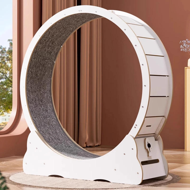

Cat treadmill silent track hidden
