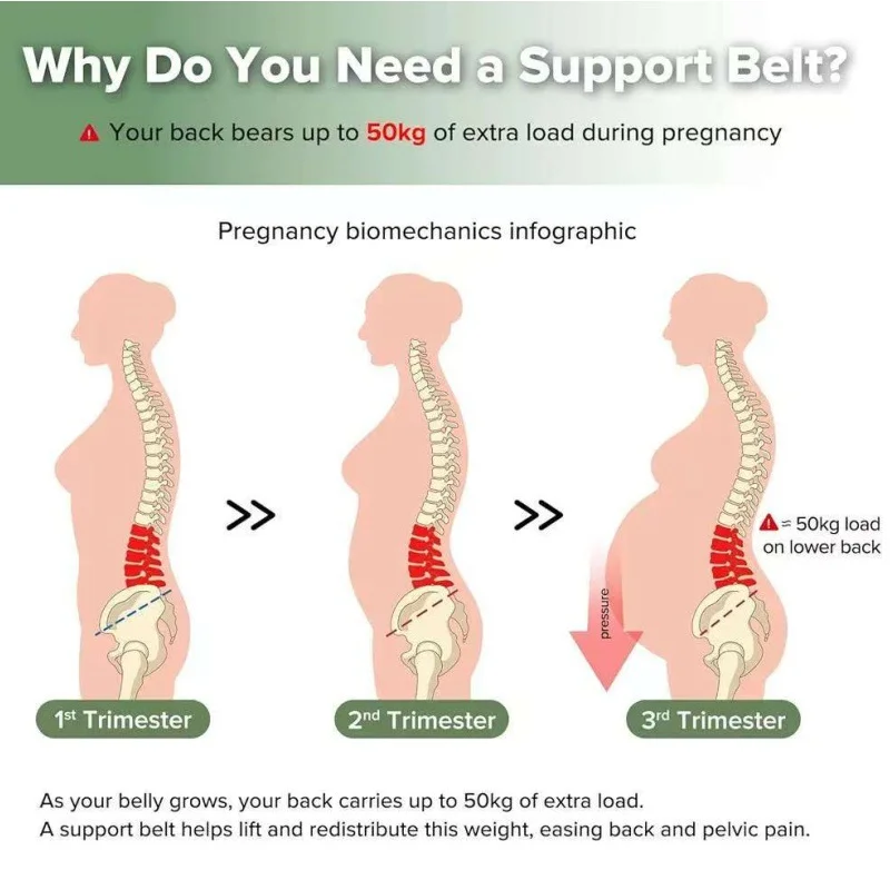 Pregnancy Belly Support Band, Adjustable Maternity Belt with Back Stays, Breathable Abdominal Brace for Back Pain Relief
