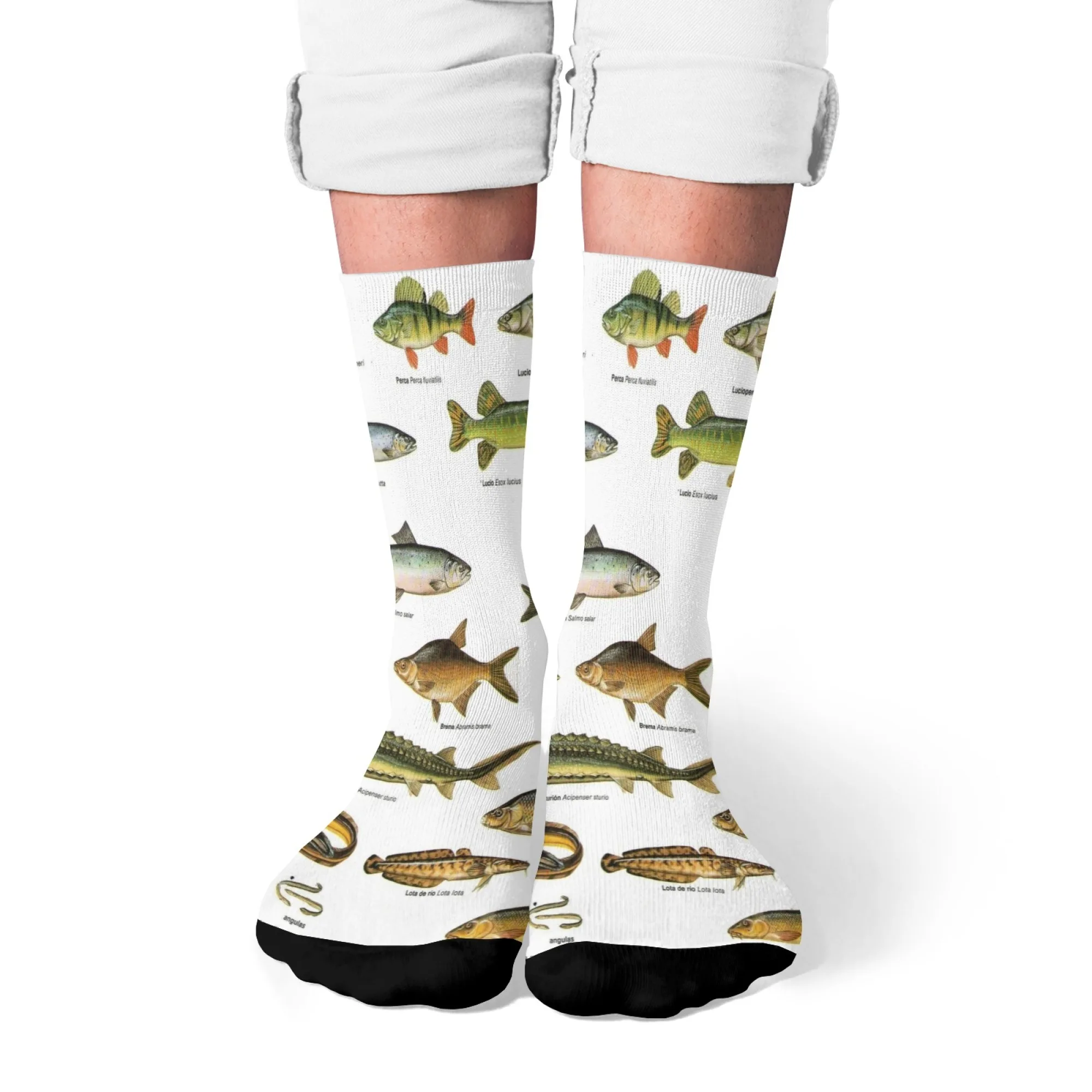 1 組のメンズソックス 面白い魚柄 新鮮で明るい ファッショナブルで快適なオールシーズン対応のノベルティソックス ギフト