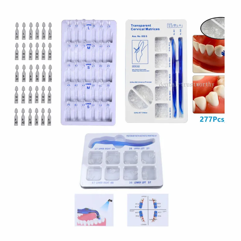 Dental Mould Anterior Posterior Teeth Partner Restoration Composite Kit Transparent Cervical Matrices Composite Gingival Retract