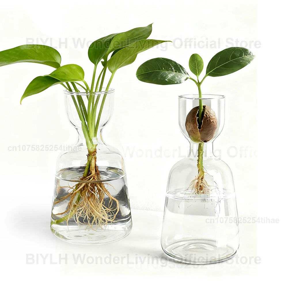 Avocado Seed Starter Vase Transparent Glass Vase Home Decor For Growing Plant Glass Seed Growing Kit For Gardening Lovers
