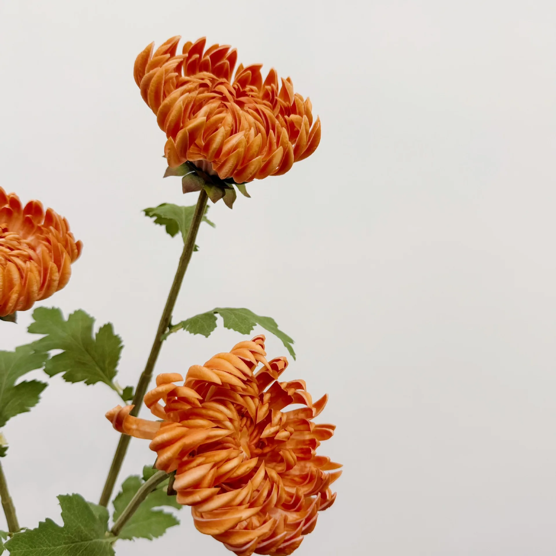 2 Stück Künstliche Blumen PU-Chrysanthemen Heimdekoration Hochzeitsblumenarrangement DIY Brautstrauß Zubehör Partydekoration – Detail 22