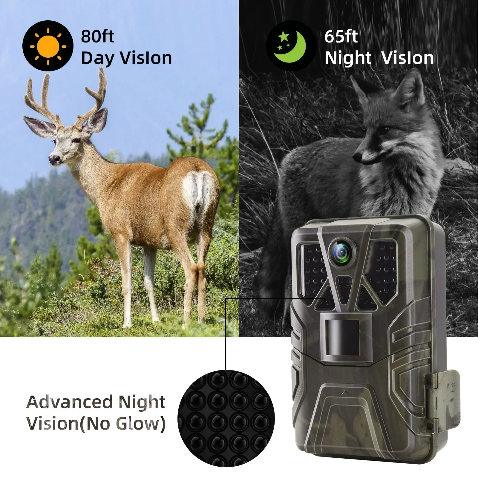 HC-910pro Cámara de caza 4K en vivo con visión nocturna IP66 y app - imagen 4