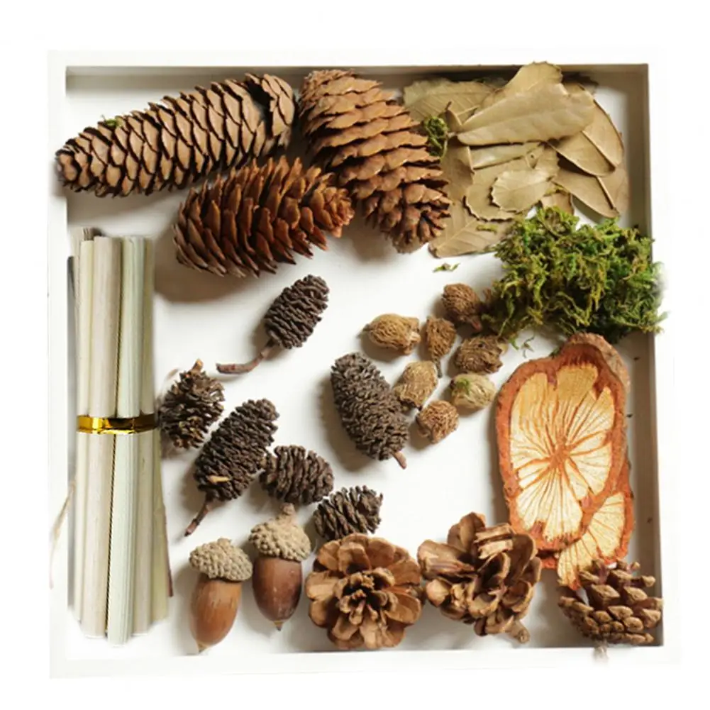 Pinecones Set Rustic Solid DIY Natural Wood Slices Decor for Home Chip Wedding Hanging Decor