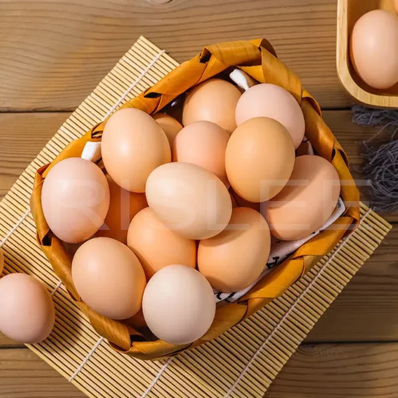 ماكينة غسل بيض الدجاج الأوتوماتيكية بصف واحد من الشركة المصنعة لتنظيف بيض السمان #2