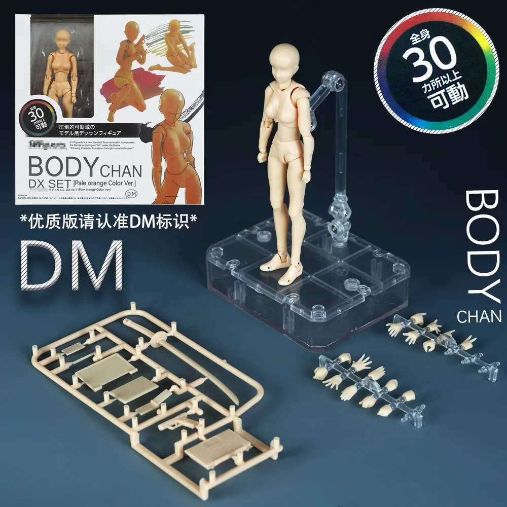 Sketch Draw-figura de acción de Kun Body Chan para hombre y mujer, cuerpo móvil, dolor en las articulaciones, modelo de juguete Shf, maniquí para