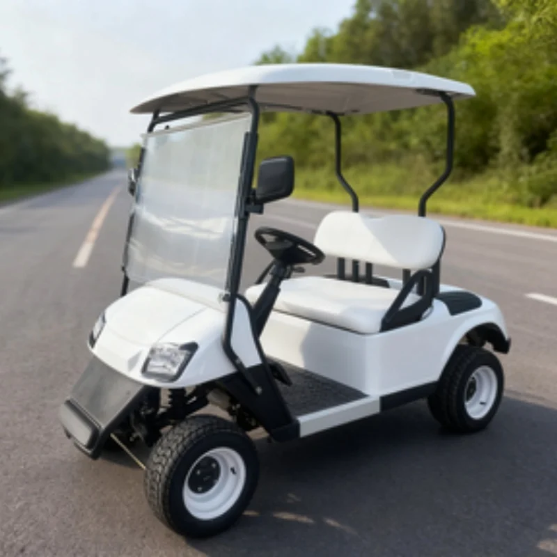 Lithium Battery Street Legal Adults Hunting Buggy Vehicle 2 Seater Lifted Electric Golf Cart Side Mirror With Turning Light