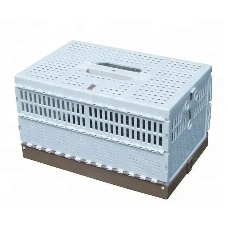 jaula-plegable-economica-para-palomas-de-competicion-jaula-de-transporte-para-aves-de-corral-otros-productos-para-aves-directo-de-fabrica