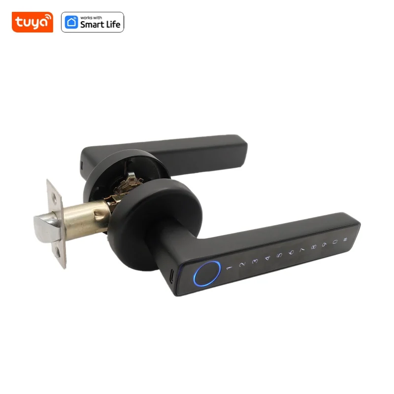 Tuya keyless entry door lock,Bluetooth short-range APP Control smart door handle - single row 5-in-1 fingerprint Door Lock