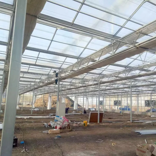 

Customized greenhouseAgricultural PC Sheet Roof Glass Greenhouse With Hydroponic NFT Channel Towers for Leafy Green