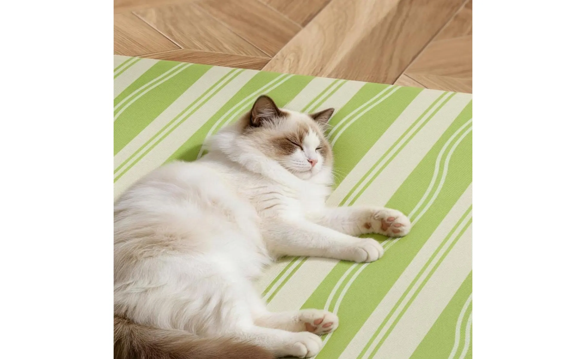 Feline Scratcher Tunnel Dangling Toy Included Feline Tunnel Bed Pet Supplies for Indoor
