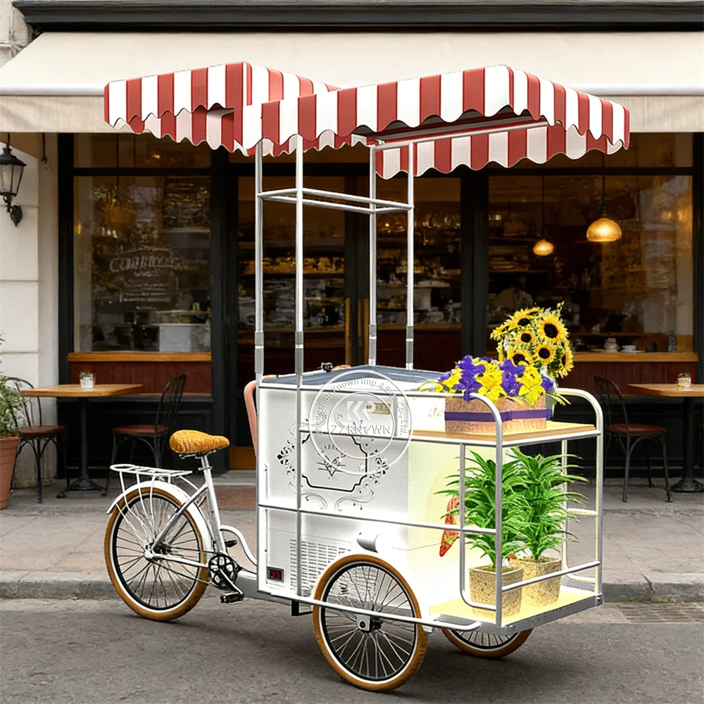 

Premium Outdoor Food Cart Mobile Street Dessert Beverage Snack Kiosk Urban Festival Vendor Ice Cream Cart For Event Display