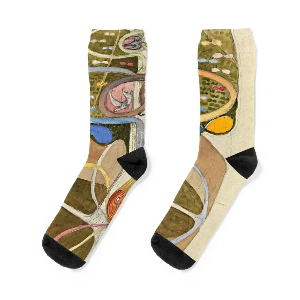 Hilma af Klint Tree of Knowledge No. 1 (1913) Socks bright garter shoes Soccer Socks Women Men's