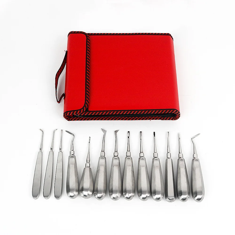 13 Pcs Stainless Steel Oral Surgery Root Elevators Set Tooth Extraction Surgical Instruments