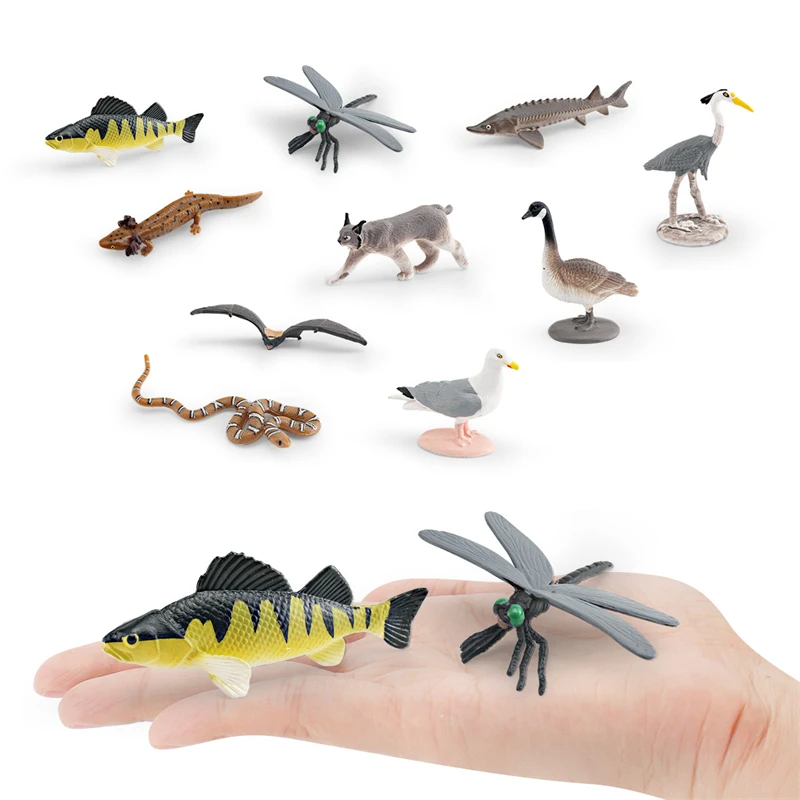 Simulated Wild North American Animal Model Children's Cognitive Salamander Bat Dragonfly water Snake Mountain Cat  Toy