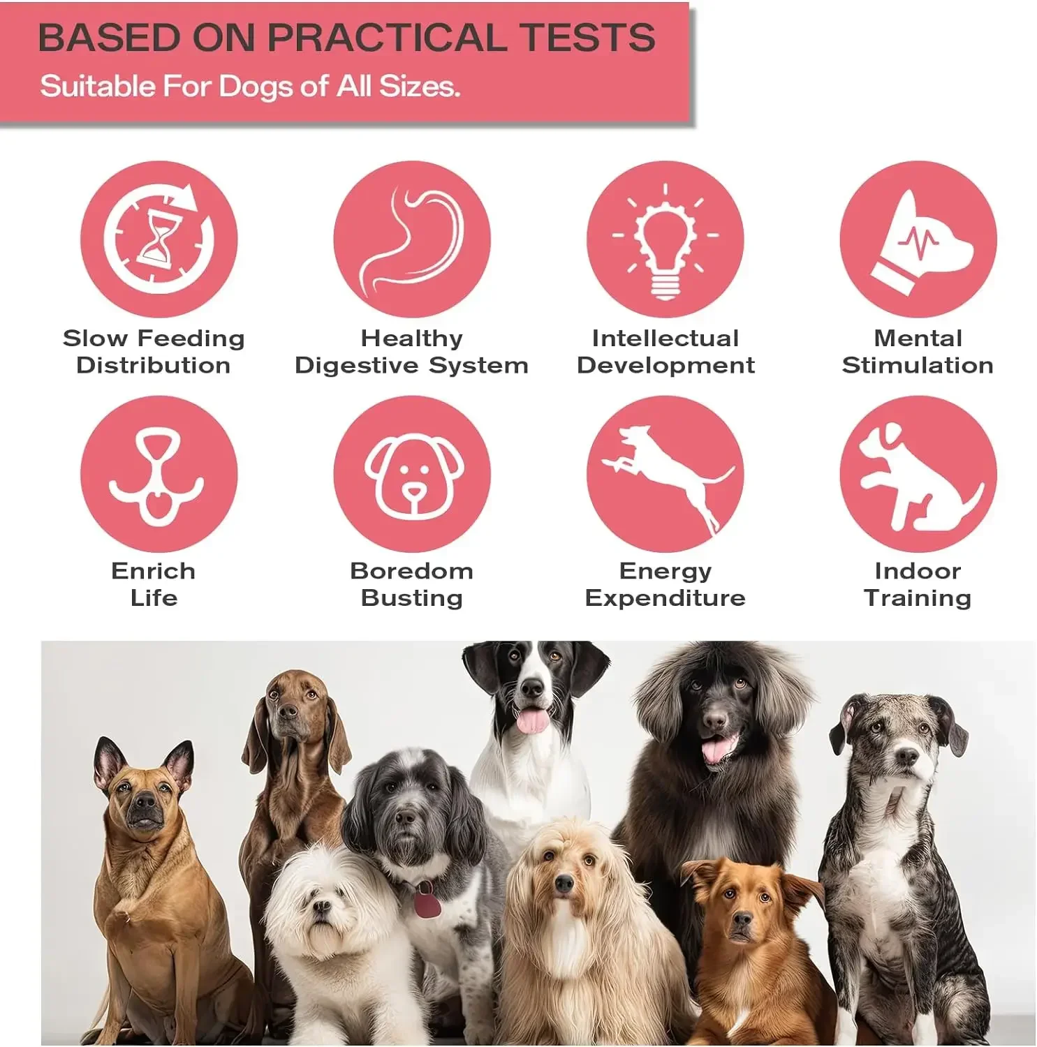لعبة ألغاز الكلاب، مسار بيضاوي الشكل، يزيد من الذكاء، كرة تسرب الطعام، تطوير عادات جيدة، ألعاب الحيوانات الأليفة التفاعلية المتينة