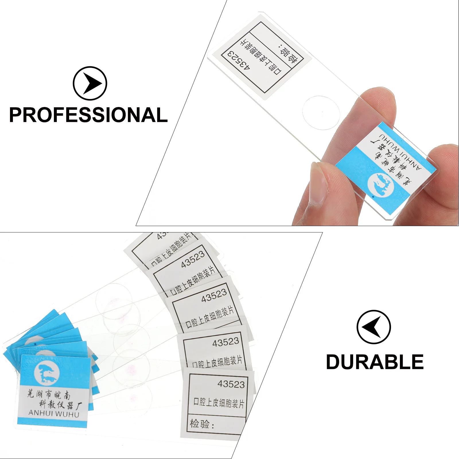 

5Pcs Glass Microscope Oral Epithelial Cells Prepared Slides for Biology Class Academic Demonstration Education